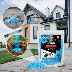 NOANT 1 kg pour lutter contre les fourmis autour de la maison et du jardin