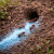 Traitement d'une fourmilière avec NOANT poudre anti fourmis