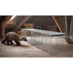 JohnGreen Cage piège pour capturer les martres sans poison