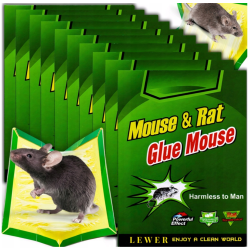 Lewer Pièges à glu pour souris et rats Lot de 60