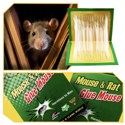 Lewer Piège adhésif contre souris et rats avec colle attractive