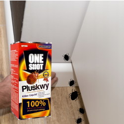 One Shot traitement des fissures et cachettes des punaises de lit