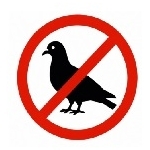 Oiseaux
