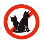 Chiens et chats