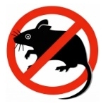Rats et souris