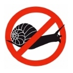 Escargots