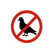 Oiseaux