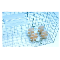 Cage de capture vivante pour rats et petits animaux