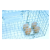 Cage de capture vivante pour rats et petits animaux