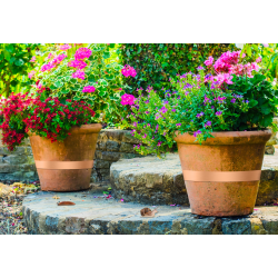 Ruban anti limaces NO PEST pour pots et plantes du jardin