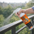 NO BIRD Protection contre pigeons et oiseaux pour balcon