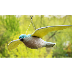 Faucon répulsif anti oiseaux NO PEST pour jardin