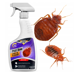 NO PEST PEST DONE Spray 500 ml contre les punaises de lit
