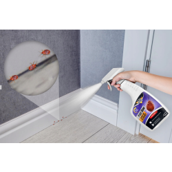 NO PEST PEST DONE Spray pour fissures et cachettes des punaises de lit