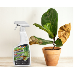 NO PEST Emulsicam pour plantes contre pucerons, thrips et aleurodes