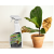 NO PEST Emulsicam pour plantes contre pucerons, thrips et aleurodes