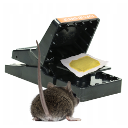 Appât pour piège à rats NO PEST Rodent Magnet