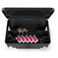 Poste d'appâtage NO PEST avec appât solide pour rats et souris