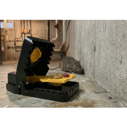 NO PEST Rat Crusher piège mécanique placé le long d'un mur