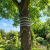 Barrière anti martres pour arbres et troncs