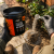 NO PEST Poudre anti fourmis pour traiter les fourmis et leur nid