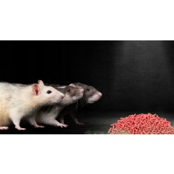 RATIMOR appât rodenticide au Bromadiolone contre rats et souris