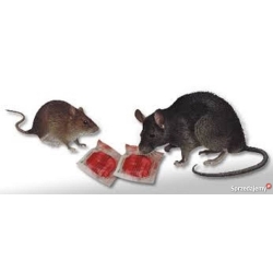 RATIMOR appât rodenticide contre rats et souris au Bromadiolone