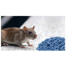 RATIMOR appât rodenticide en granulés contre rats et souris