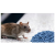 RATIMOR appât rodenticide en granulés contre rats et souris