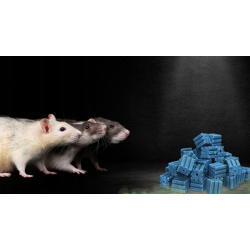 RATIMOR Appât en blocs au Brodifacoum contre les rats